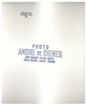 Original 8'' x 10'' Silver-Gelatin Satin-Finish Double-Weight Photograph of Marilyn Monroe Taken by Andre de Dienes in 1945 With de Dienes Backstamp